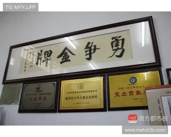 以梦想为起点的世界杯志愿者申请与青春担当之旅国际舞台服务成长计划