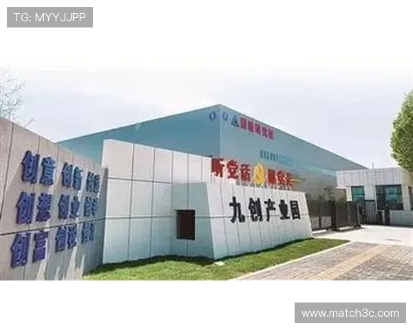 某某体育公司发布年度战略升级推动全民健身产业高质量发展新布局 - 副本 (2) - 副本